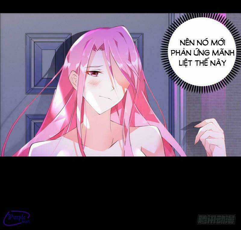 Bảy Ngày Thực Cốt Hôn Ước Chapter 7 trang 5