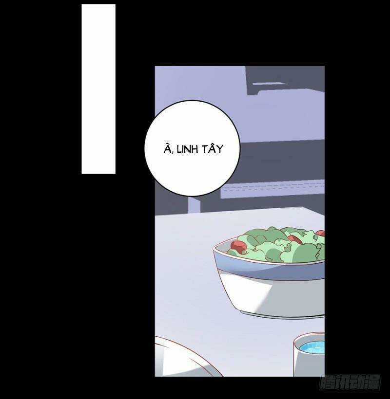 Bảy Ngày Thực Cốt Hôn Ước Chapter 9 trang 15