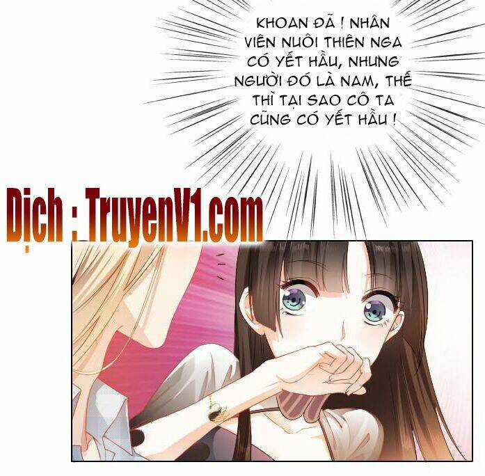 Bay Qua Thiên Sơn Đến Yêu Anh Chapter 2 trang 12