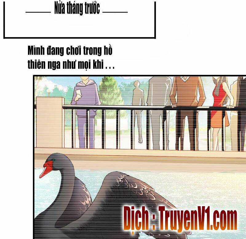 Bay Qua Thiên Sơn Đến Yêu Anh Chapter 5 trang 25