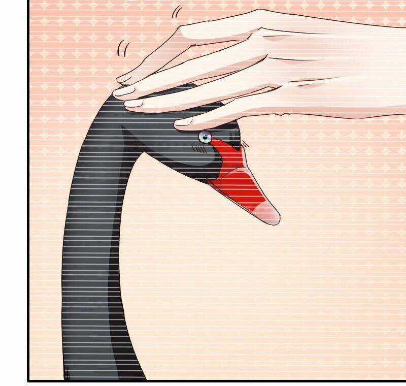 Bay Qua Thiên Sơn Đến Yêu Anh Chapter 7 trang 34