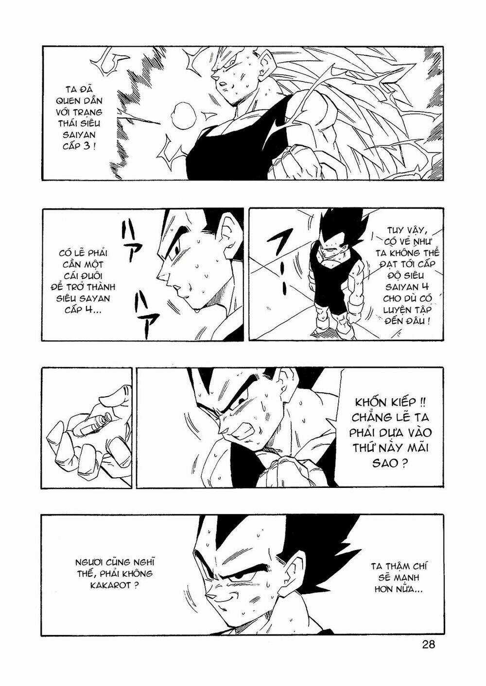 Bảy Viên Ngọc Rồng Sau Cùng Chapter 2 trang 12