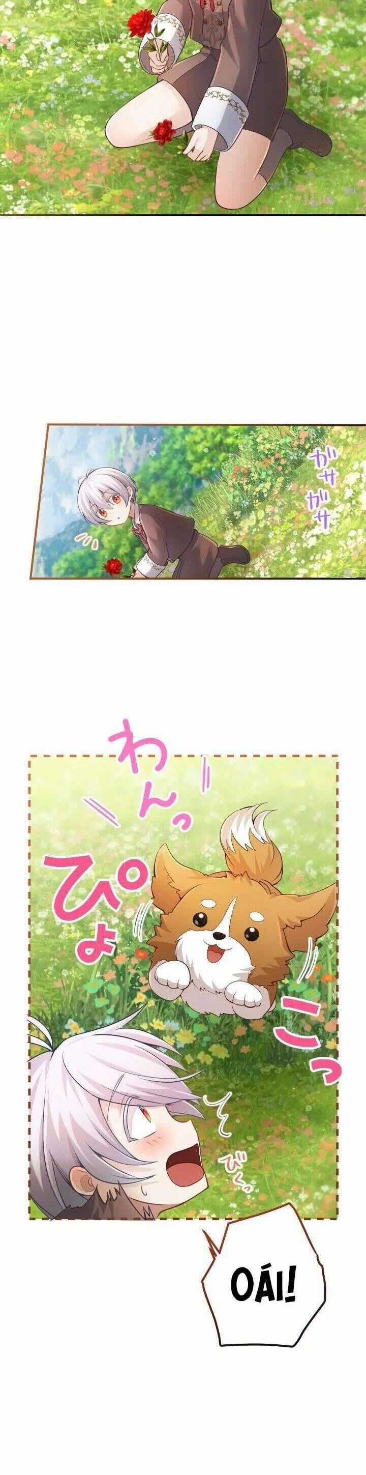 Bệ Hạ À, Từ Giờ Tôi Sẽ Nuôi Dưỡng Thằng Bé Chương 19 trang 17