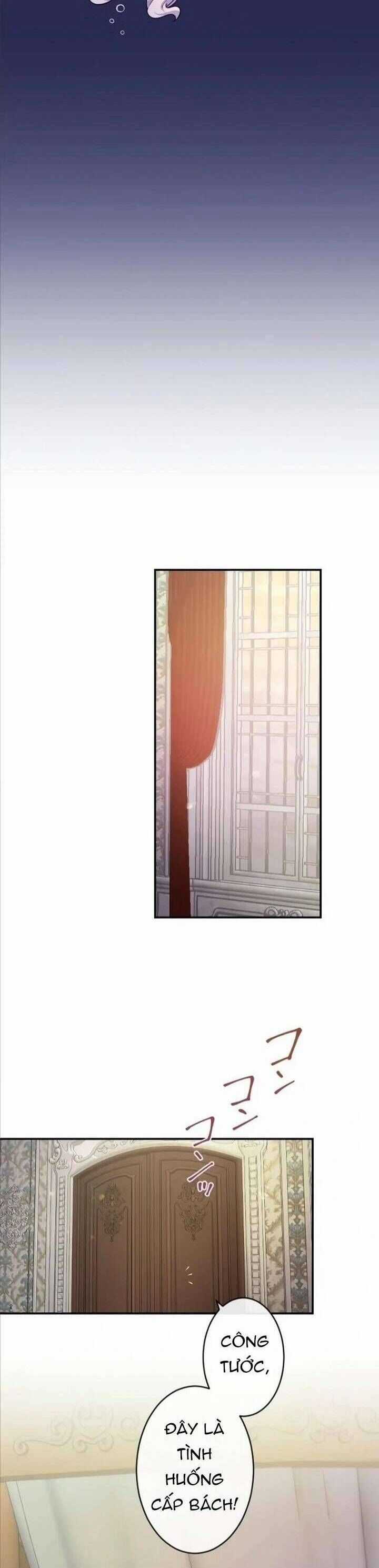 Bệ Hạ À, Từ Giờ Tôi Sẽ Nuôi Dưỡng Thằng Bé Chương 21 trang 13