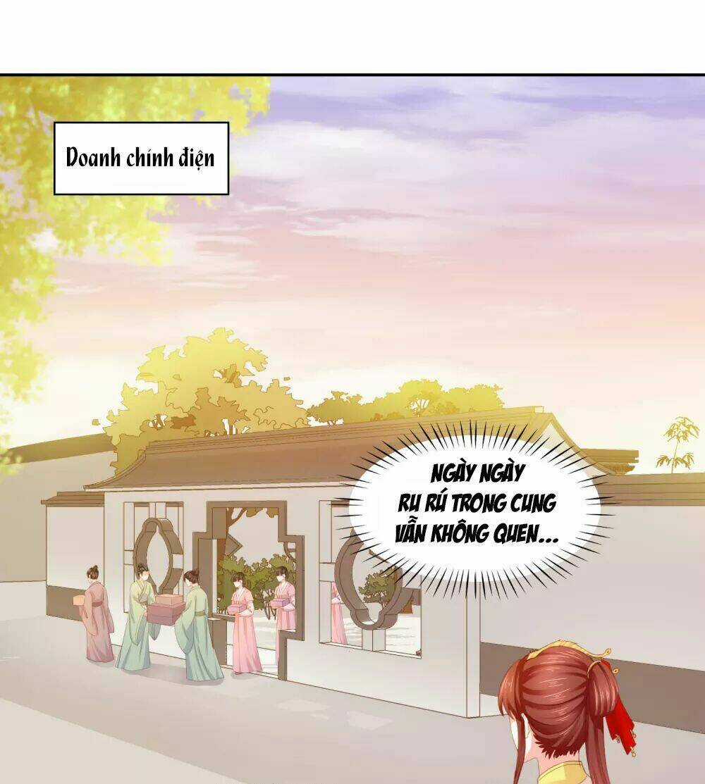 Bệ Hạ! Dưa Hái Xanh Không Ngọt Chapter 16 trang 5