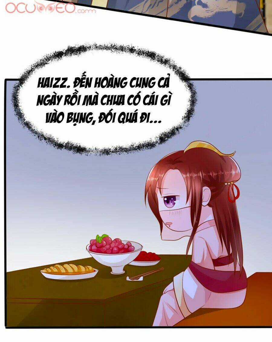 Bệ Hạ! Dưa Hái Xanh Không Ngọt Chapter 2 trang 6