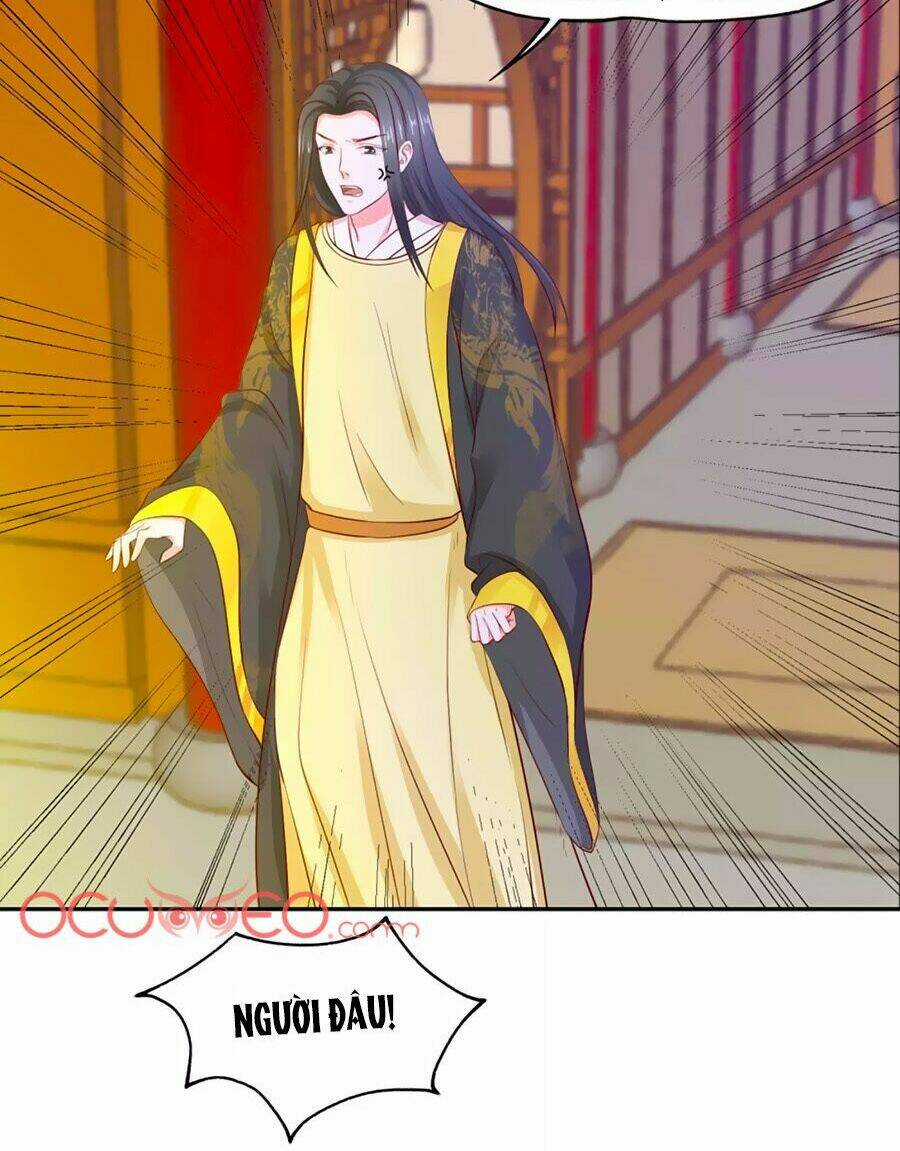 Bệ Hạ! Dưa Hái Xanh Không Ngọt Chapter 5 trang 11