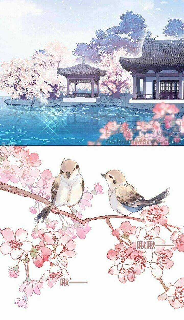 Bệ Hạ Nhà Ta Muốn Hại Quốc Chapter 21 trang 17