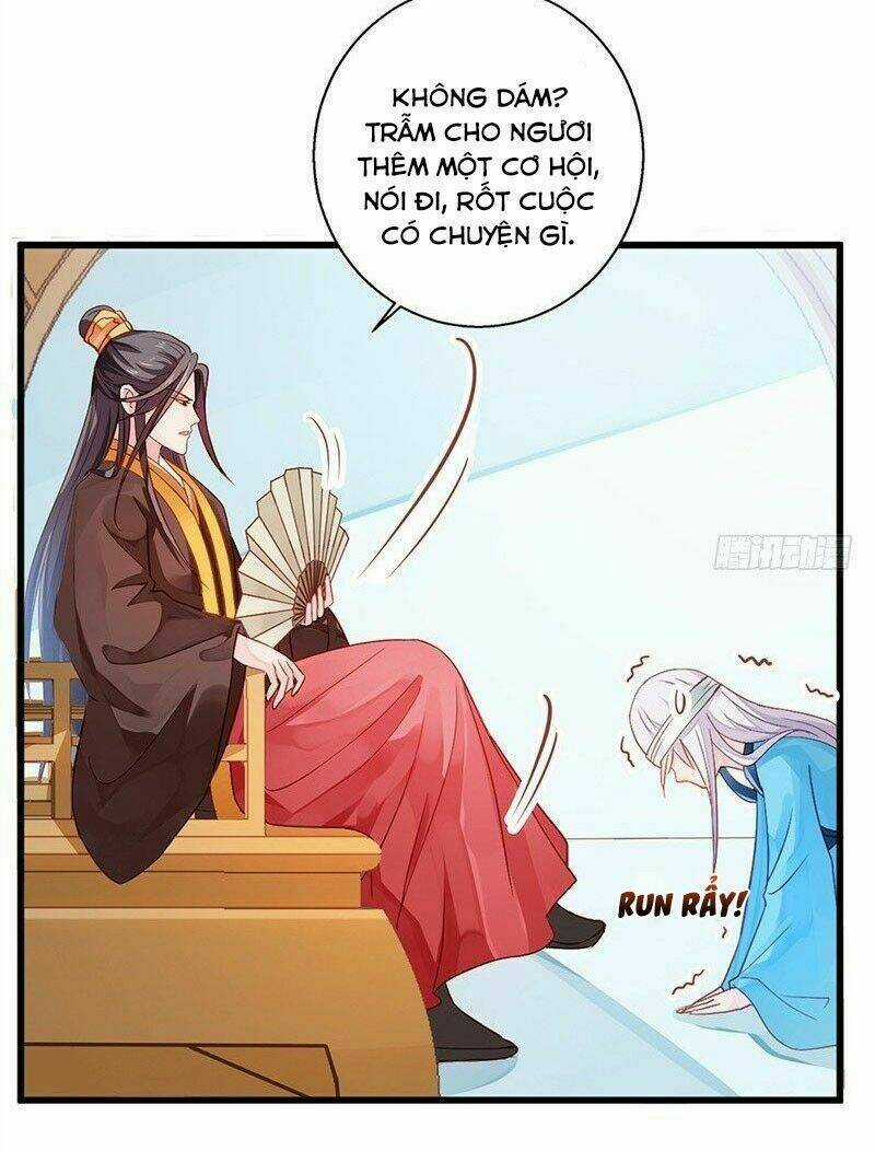 Bệ Hạ Xin Tự Trọng Chapter 15 trang 11