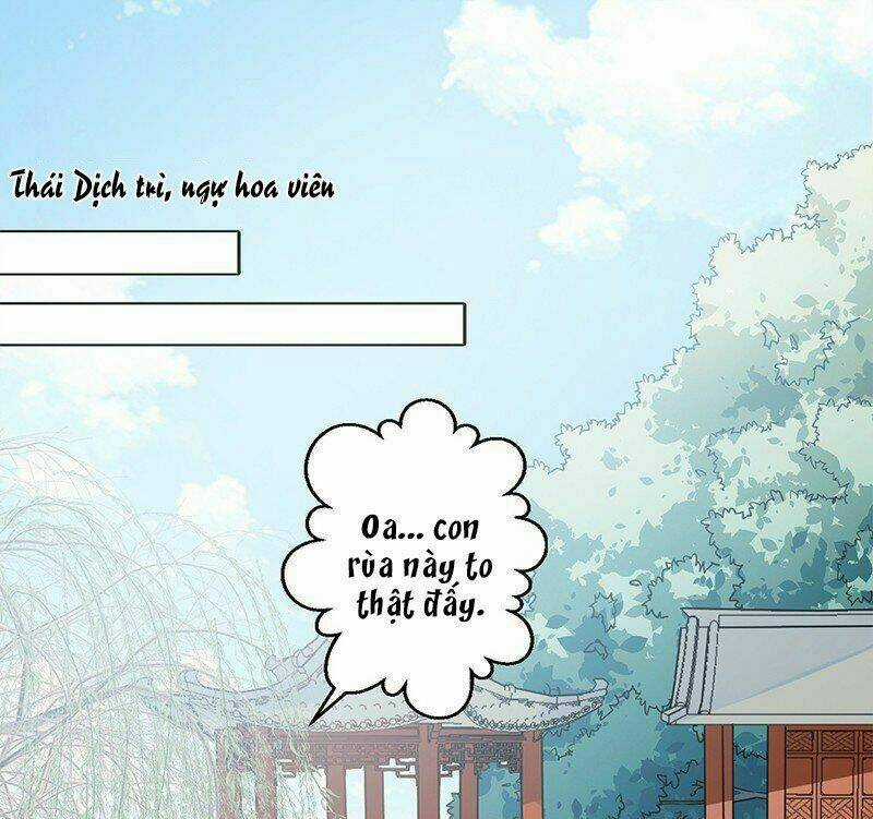 Bệ Hạ Xin Tự Trọng Chapter 16 trang 2