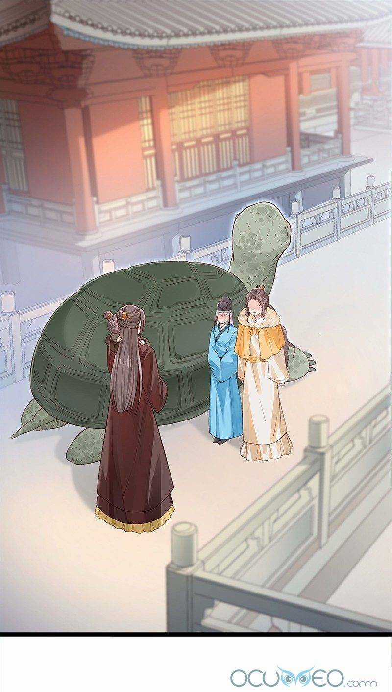 Bệ Hạ Xin Tự Trọng Chapter 21 trang 2