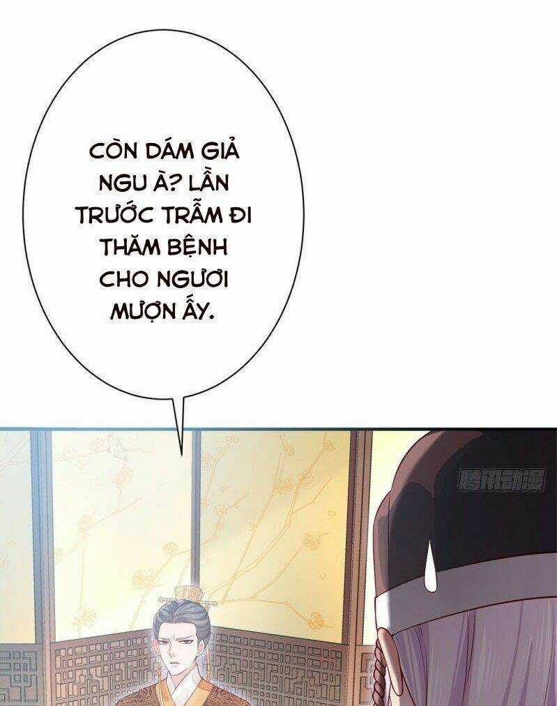 Bệ Hạ Xin Tự Trọng Chapter 33 trang 23