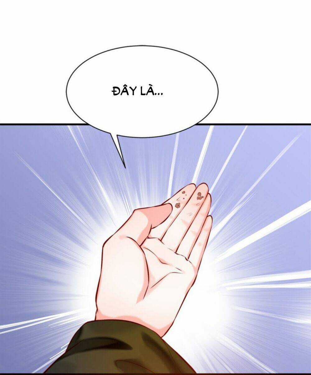 Bệ Hạ Xin Tự Trọng Chapter 38 trang 11