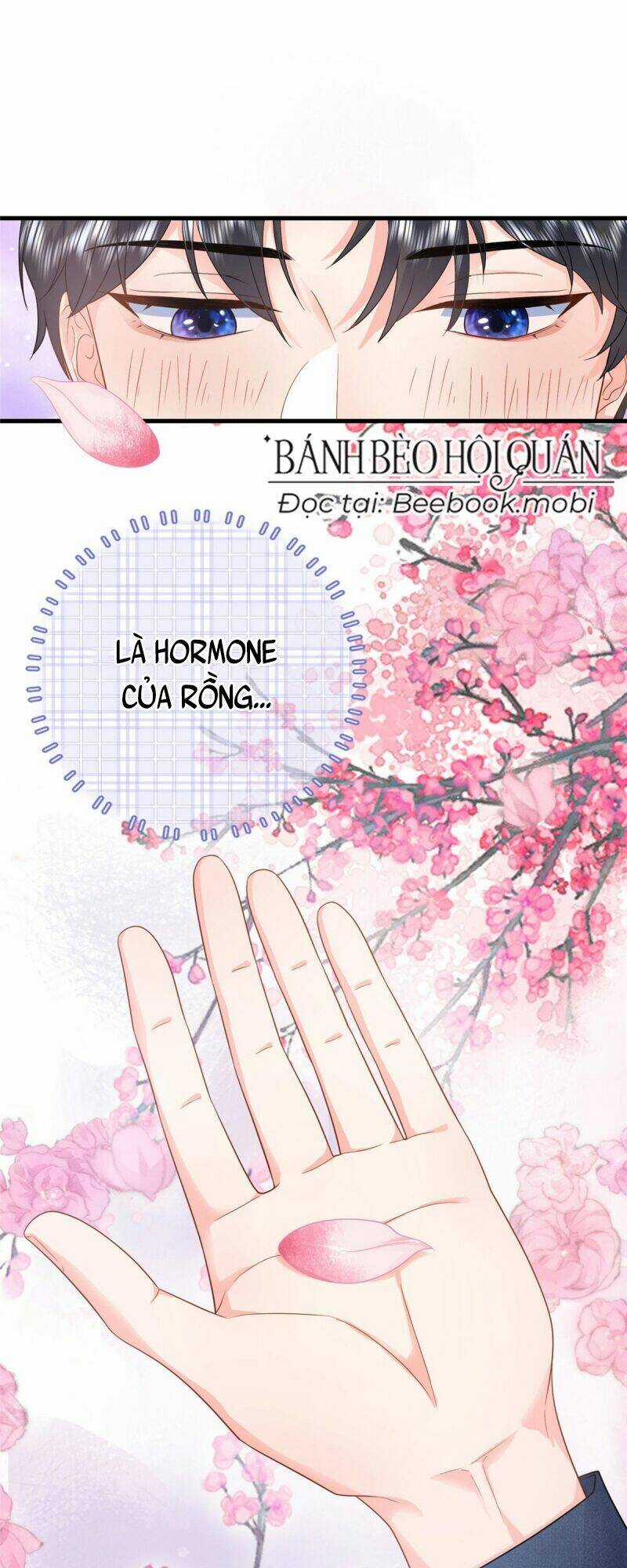 Bé Rồng Đột Kích! Mami Vừa Cay Vừa Độc Chapter 10 trang 28