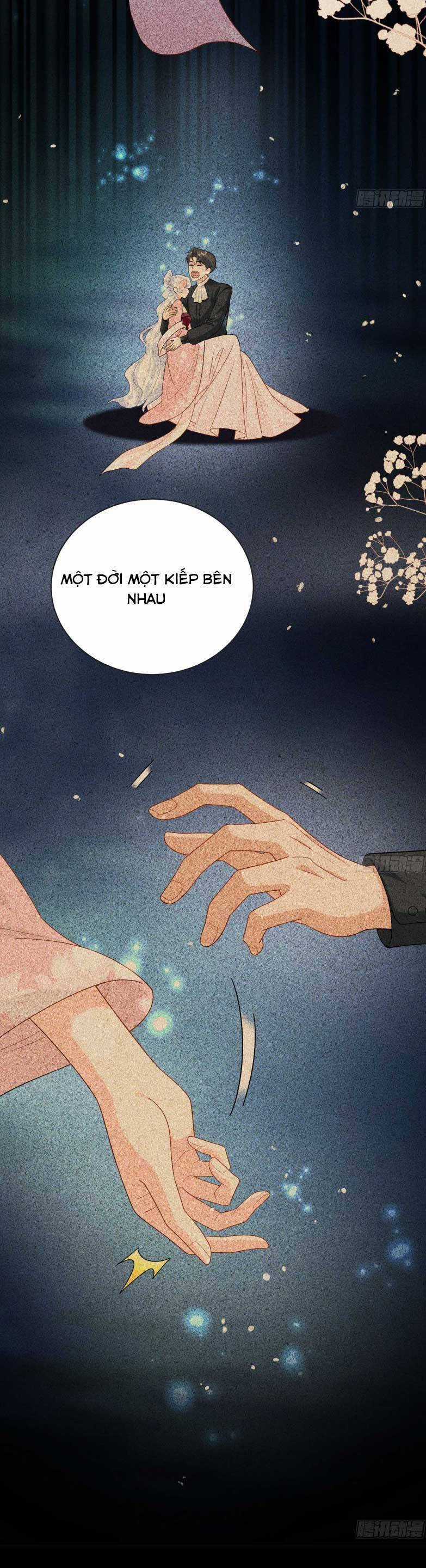 Bé Rồng Đột Kích! Mami Vừa Cay Vừa Độc Chapter 104 trang 15