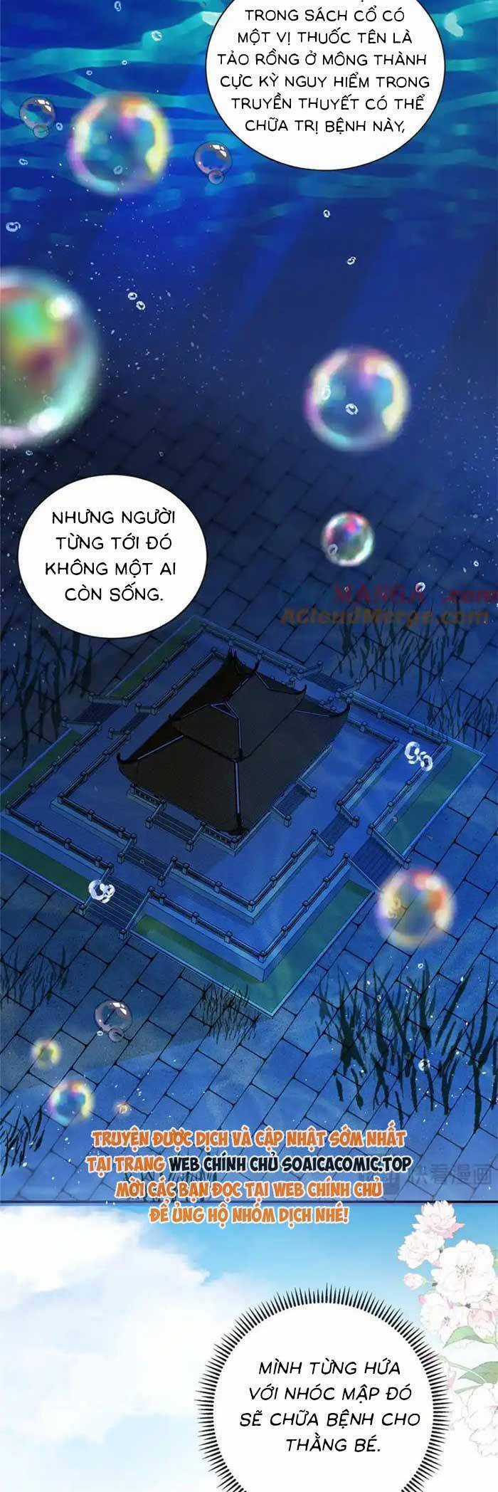 Bé Rồng Đột Kích! Mami Vừa Cay Vừa Độc Chapter 107 trang 21