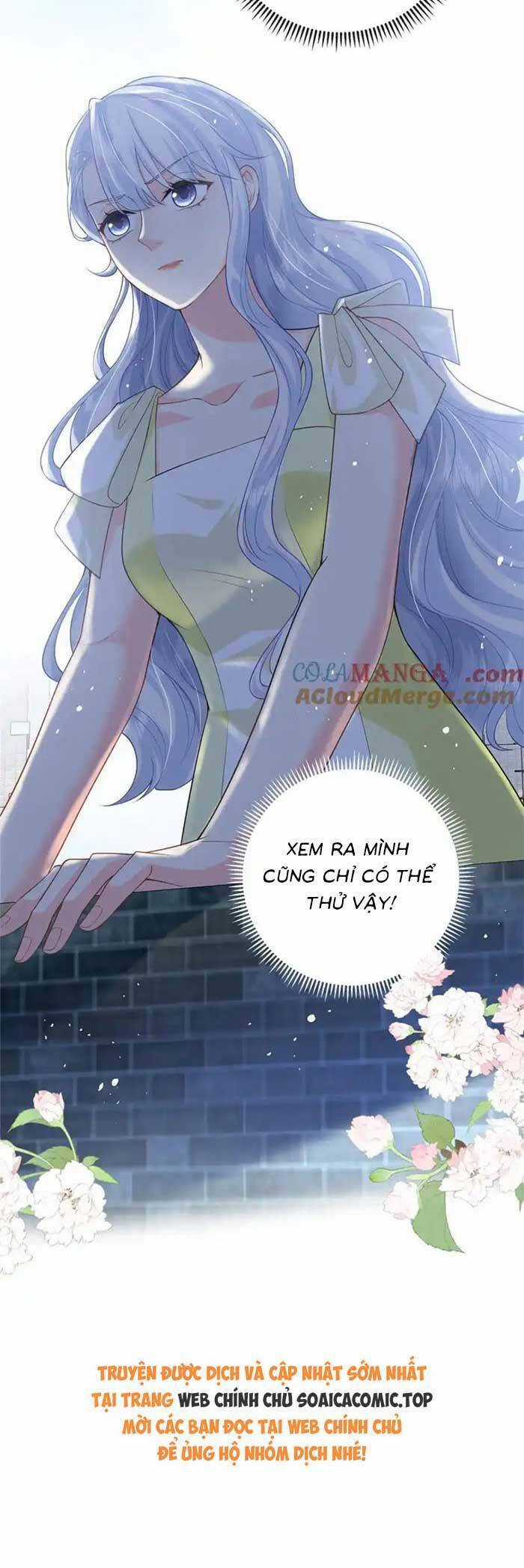Bé Rồng Đột Kích! Mami Vừa Cay Vừa Độc Chapter 107 trang 22