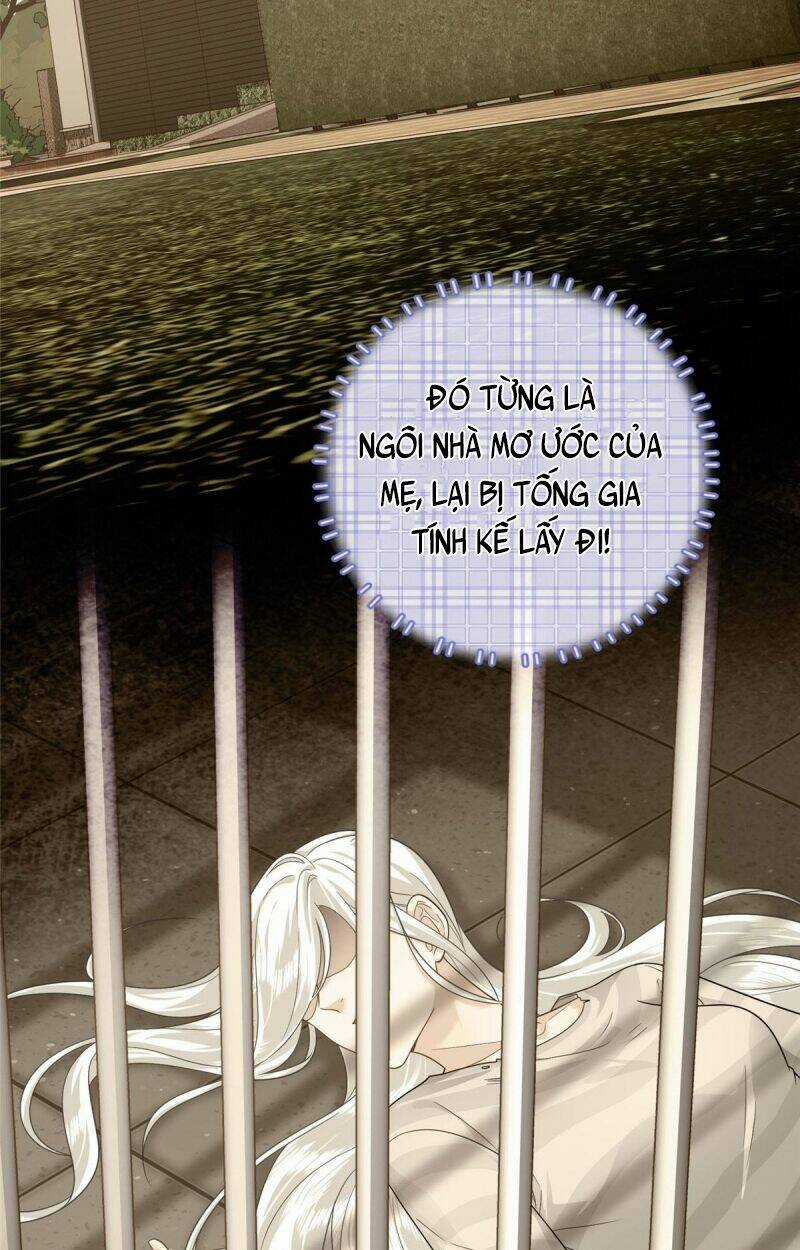 Bé Rồng Đột Kích! Mami Vừa Cay Vừa Độc Chapter 11 trang 5