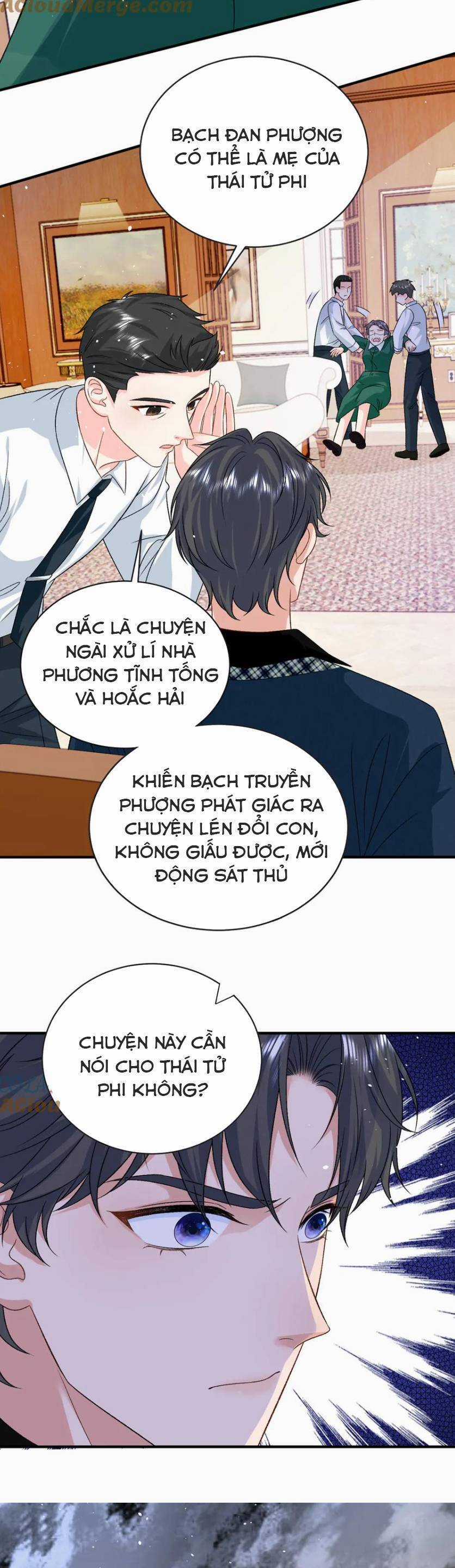 Bé Rồng Đột Kích! Mami Vừa Cay Vừa Độc Chapter 121 trang 15