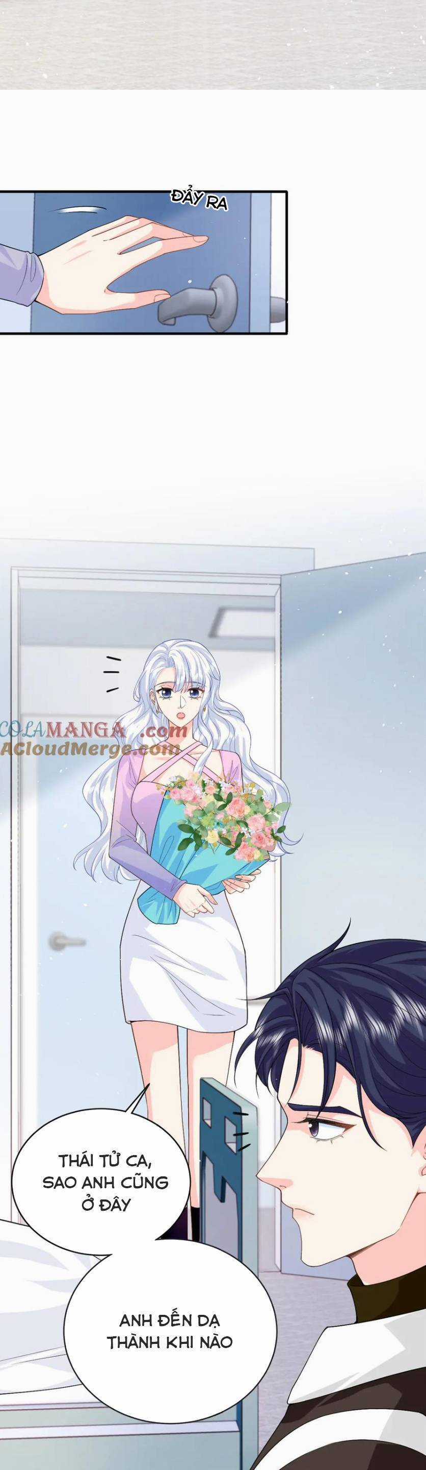 Bé Rồng Đột Kích! Mami Vừa Cay Vừa Độc Chapter 121 trang 19