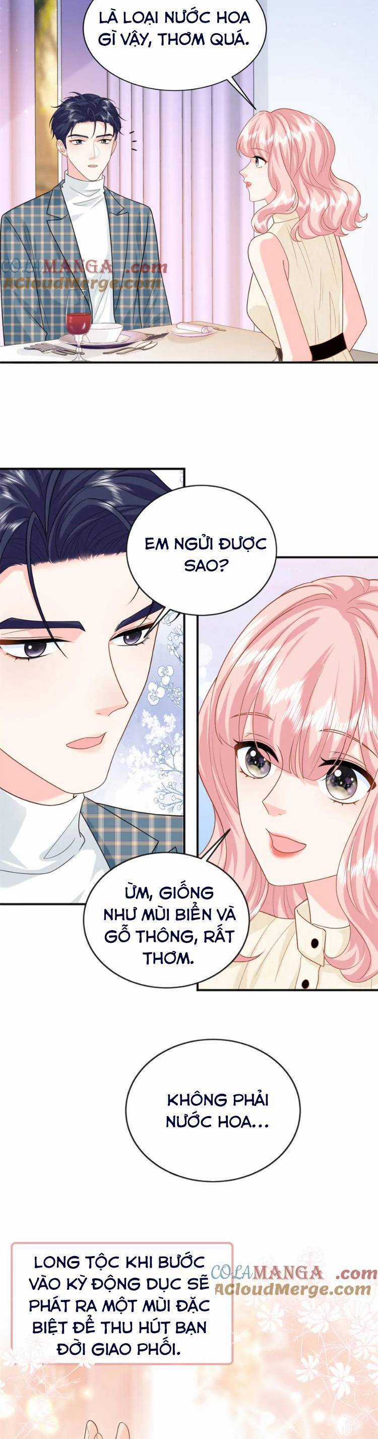 Bé Rồng Đột Kích! Mami Vừa Cay Vừa Độc Chapter 127 trang 2