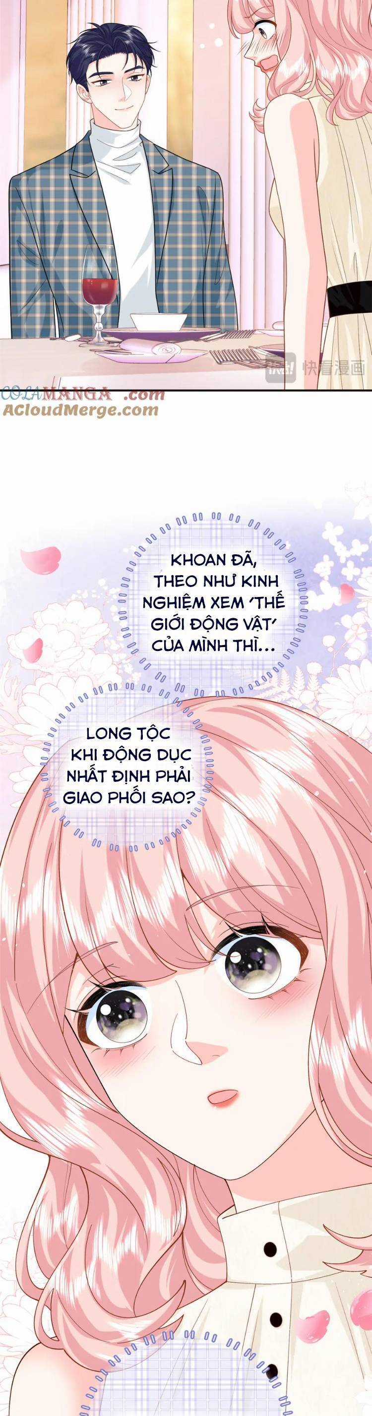 Bé Rồng Đột Kích! Mami Vừa Cay Vừa Độc Chapter 127 trang 4