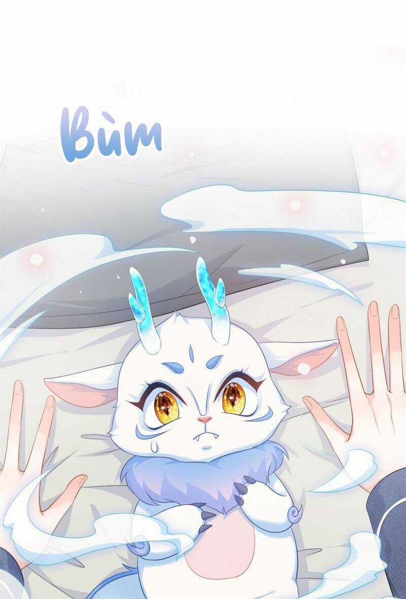 Bé Rồng Đột Kích! Mami Vừa Cay Vừa Độc Chapter 15 trang 18