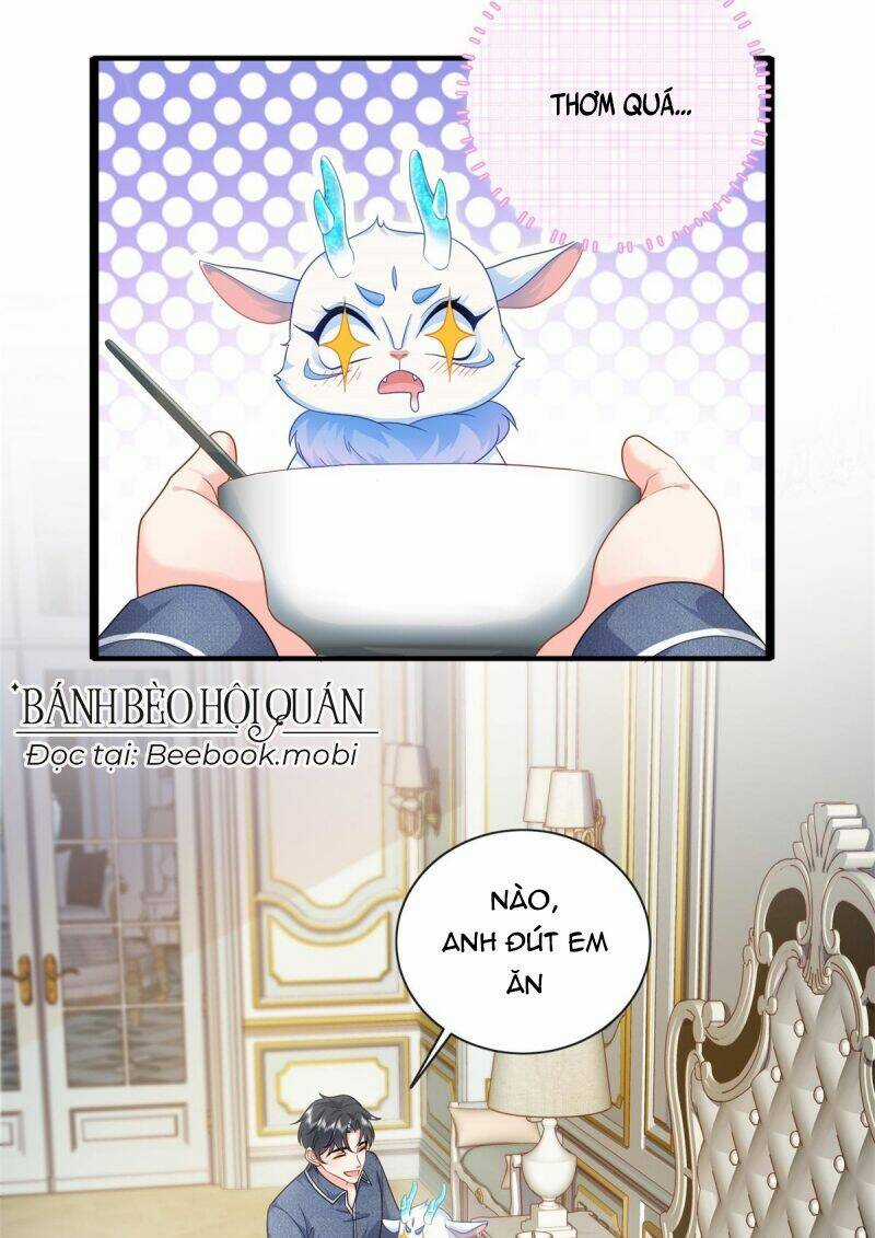 Bé Rồng Đột Kích! Mami Vừa Cay Vừa Độc Chapter 16 trang 20