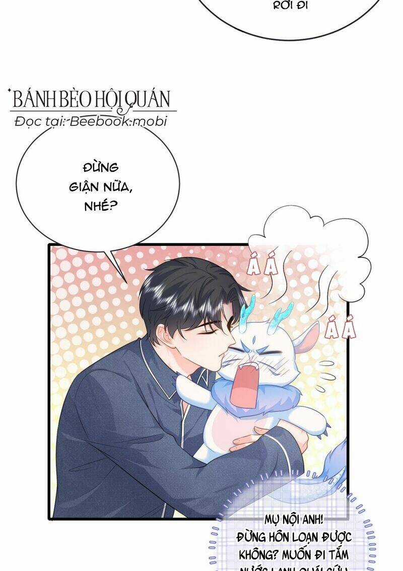 Bé Rồng Đột Kích! Mami Vừa Cay Vừa Độc Chapter 16 trang 5