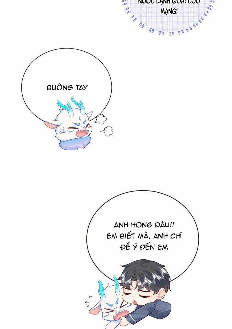 Bé Rồng Đột Kích! Mami Vừa Cay Vừa Độc Chapter 16 trang 6