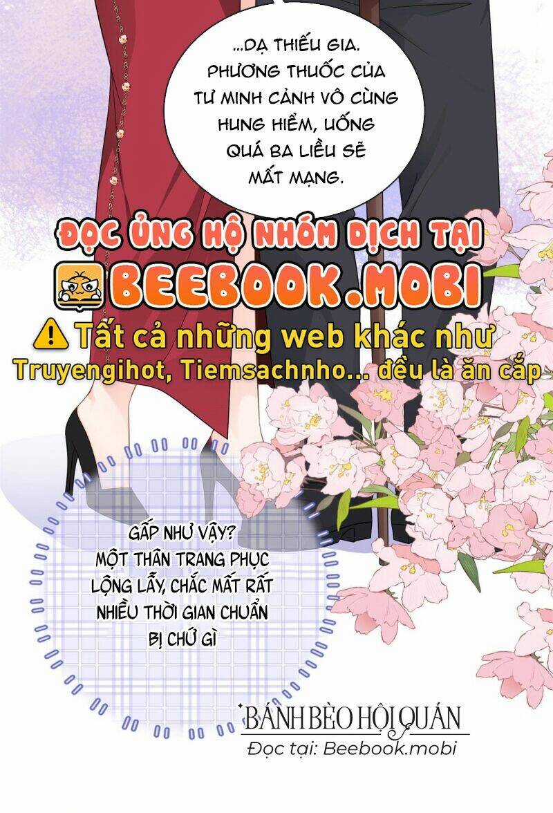 Bé Rồng Đột Kích! Mami Vừa Cay Vừa Độc Chapter 17 trang 11