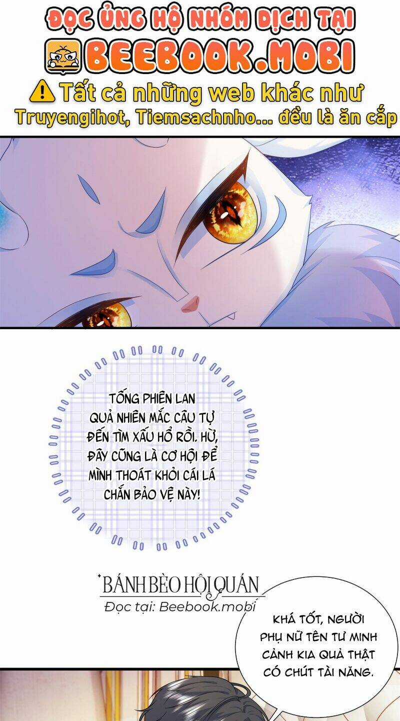 Bé Rồng Đột Kích! Mami Vừa Cay Vừa Độc Chapter 17 trang 22