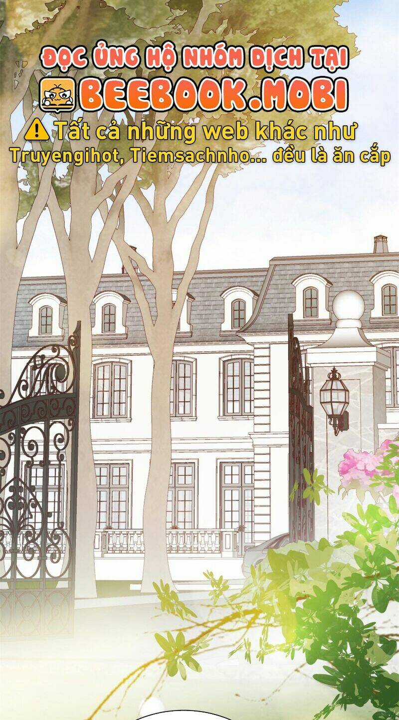 Bé Rồng Đột Kích! Mami Vừa Cay Vừa Độc Chapter 17 trang 26