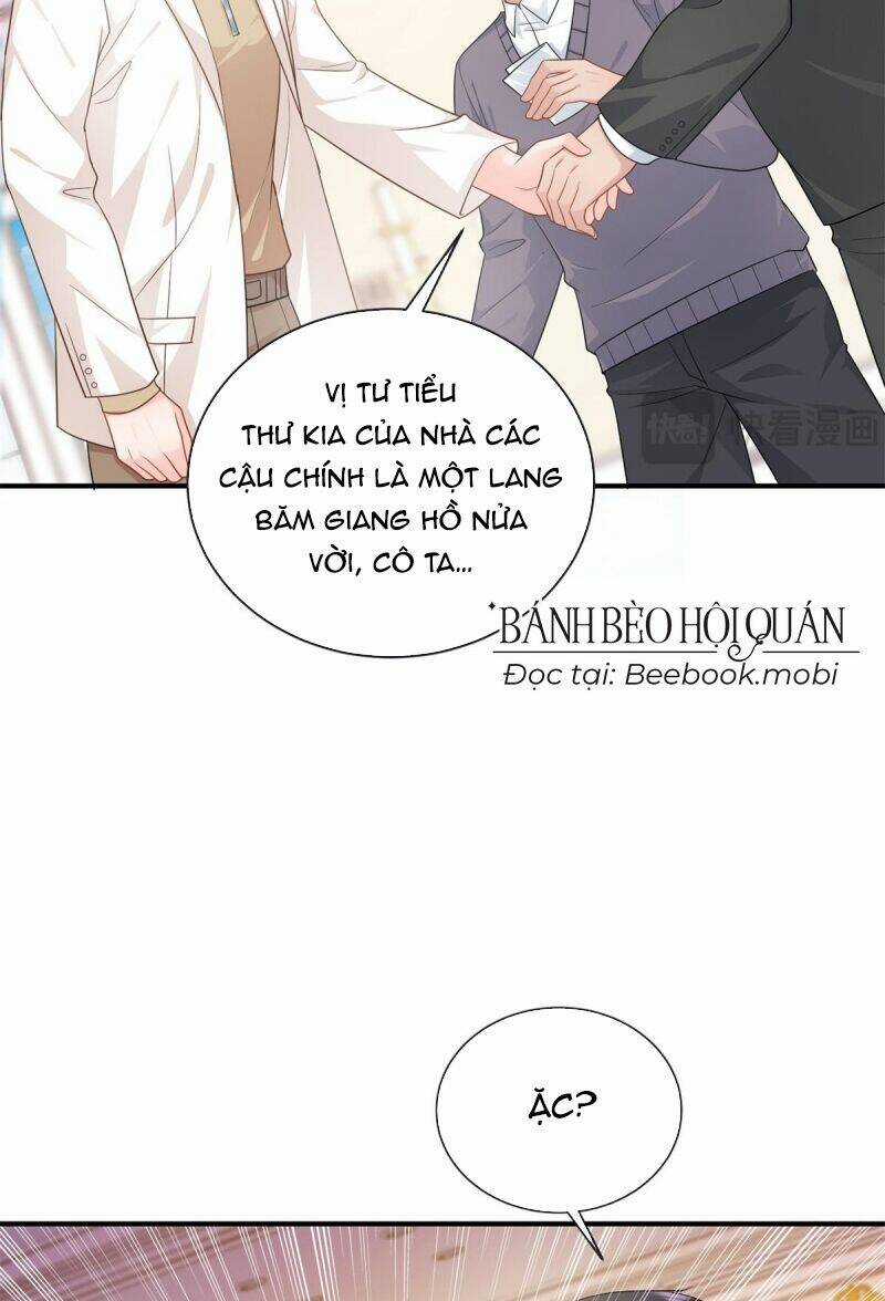 Bé Rồng Đột Kích! Mami Vừa Cay Vừa Độc Chapter 17 trang 5