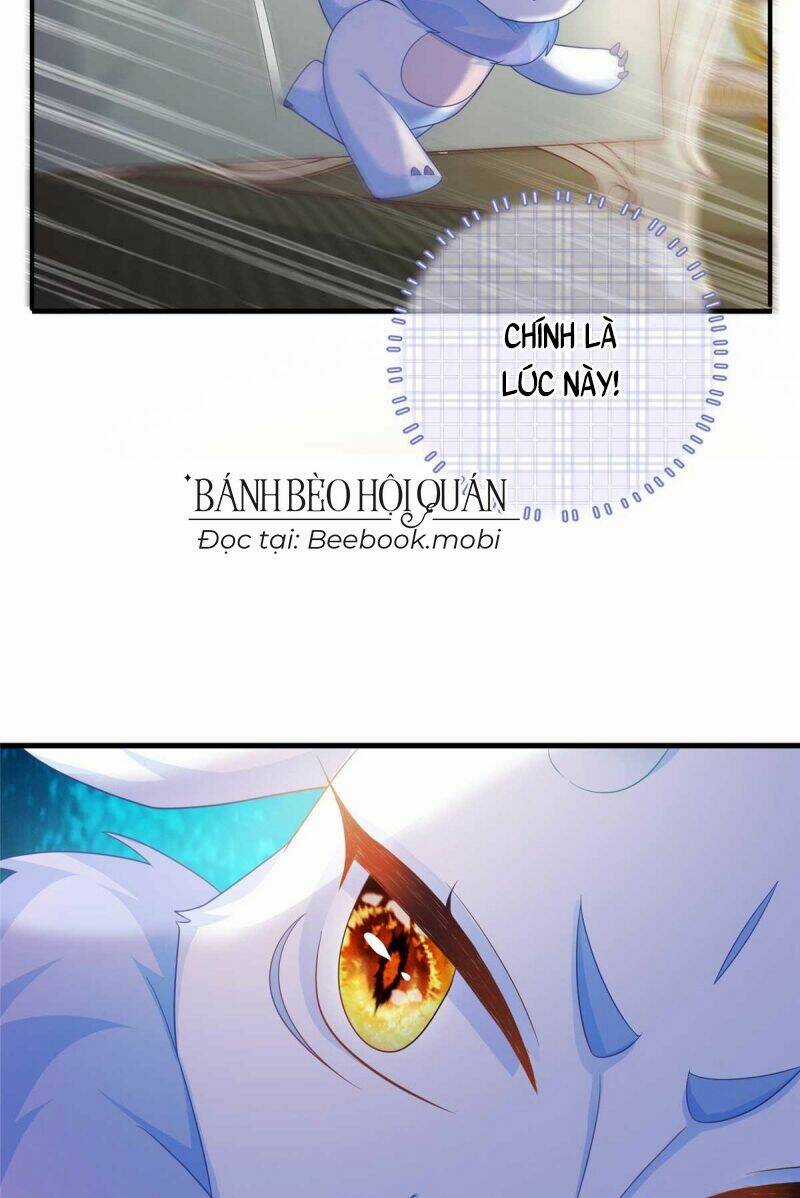 Bé Rồng Đột Kích! Mami Vừa Cay Vừa Độc Chapter 18 trang 20