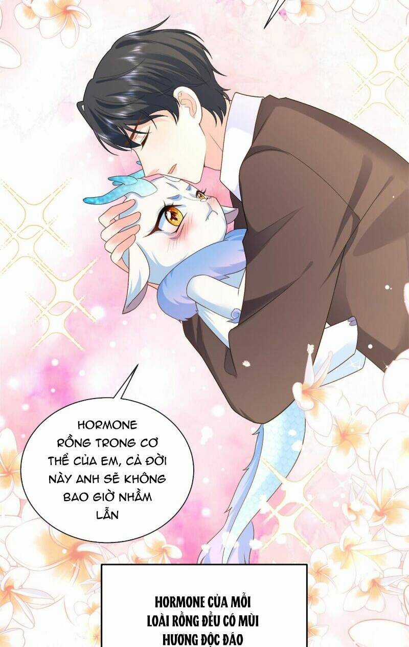 Bé Rồng Đột Kích! Mami Vừa Cay Vừa Độc Chapter 19 trang 15