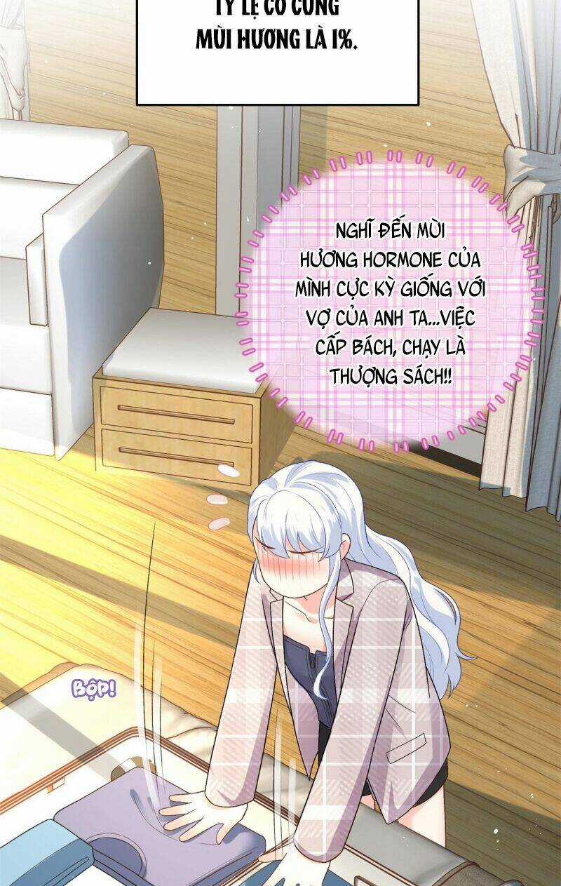 Bé Rồng Đột Kích! Mami Vừa Cay Vừa Độc Chapter 19 trang 17