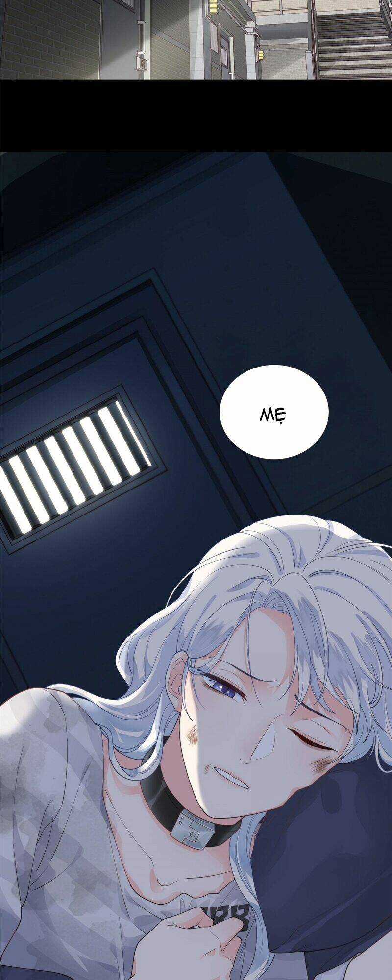 Bé Rồng Đột Kích! Mami Vừa Cay Vừa Độc Chapter 2 trang 7