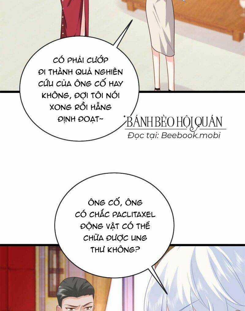 Bé Rồng Đột Kích! Mami Vừa Cay Vừa Độc Chapter 22 trang 27