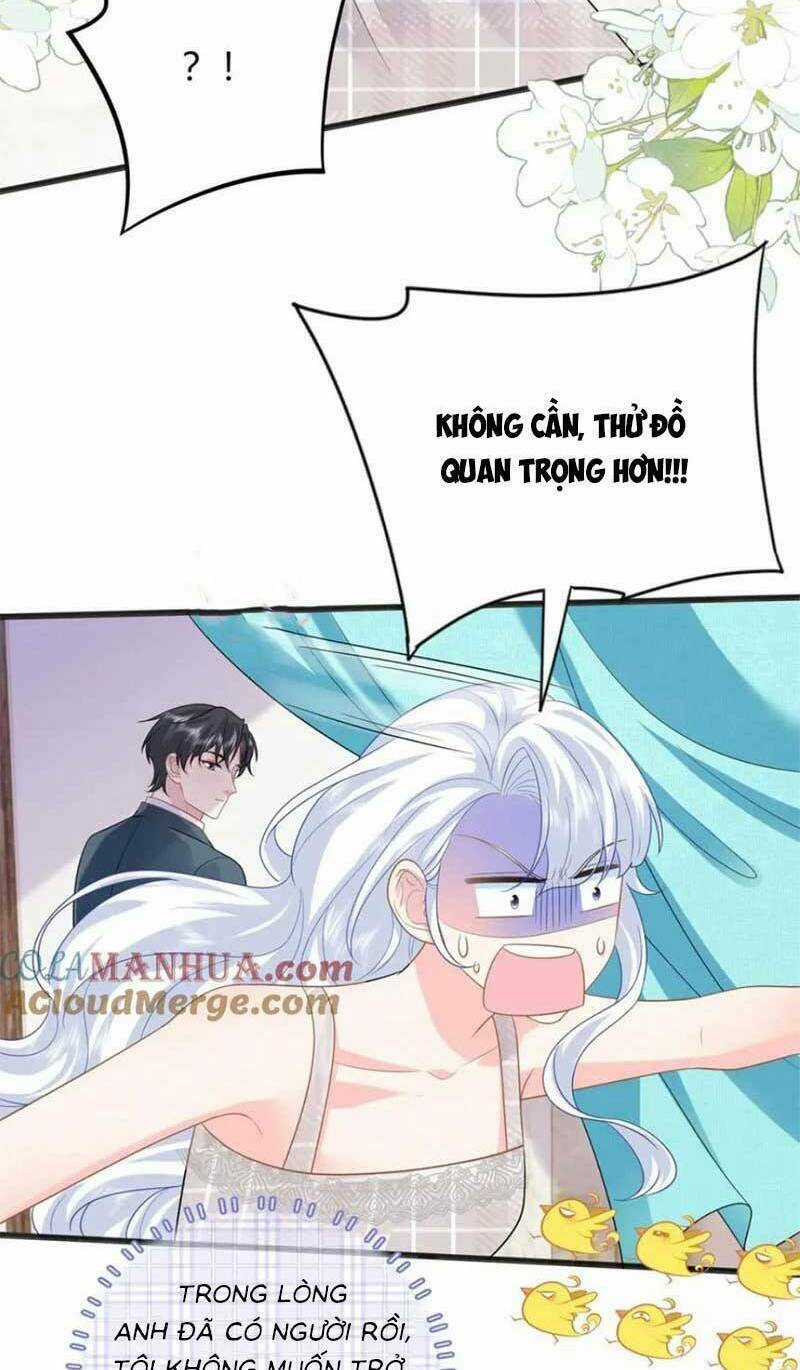 Bé Rồng Đột Kích! Mami Vừa Cay Vừa Độc Chapter 28 trang 7