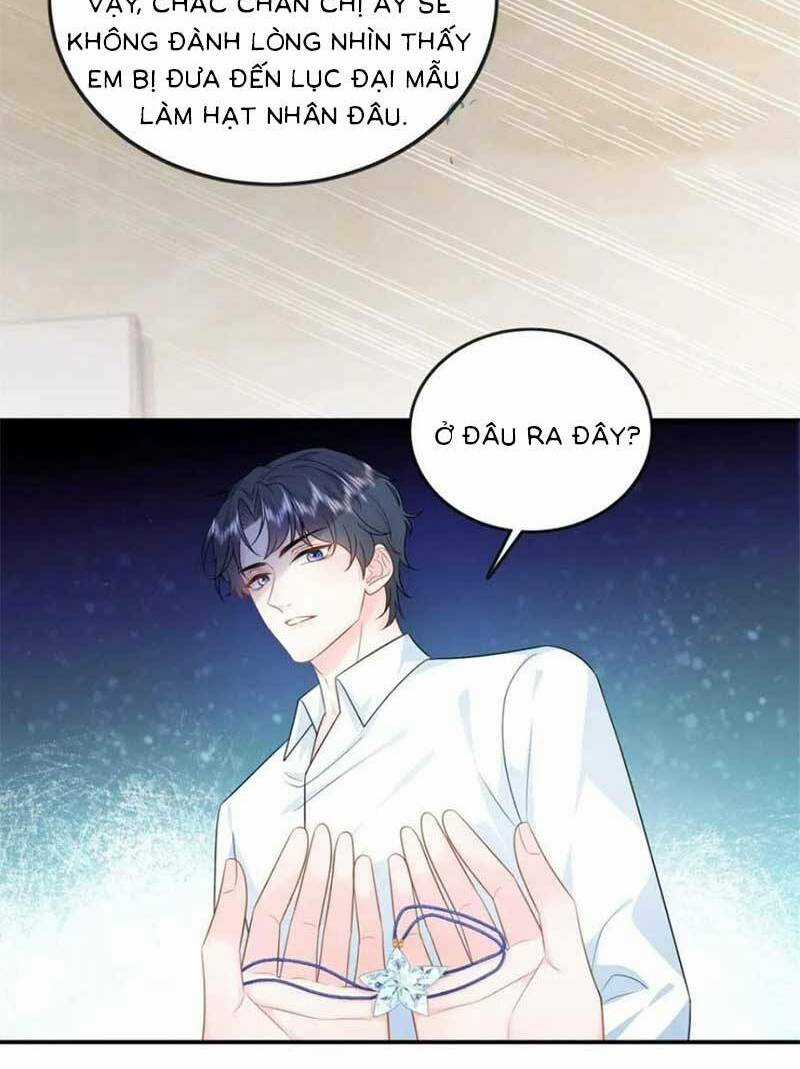 Bé Rồng Đột Kích! Mami Vừa Cay Vừa Độc Chapter 30 trang 26