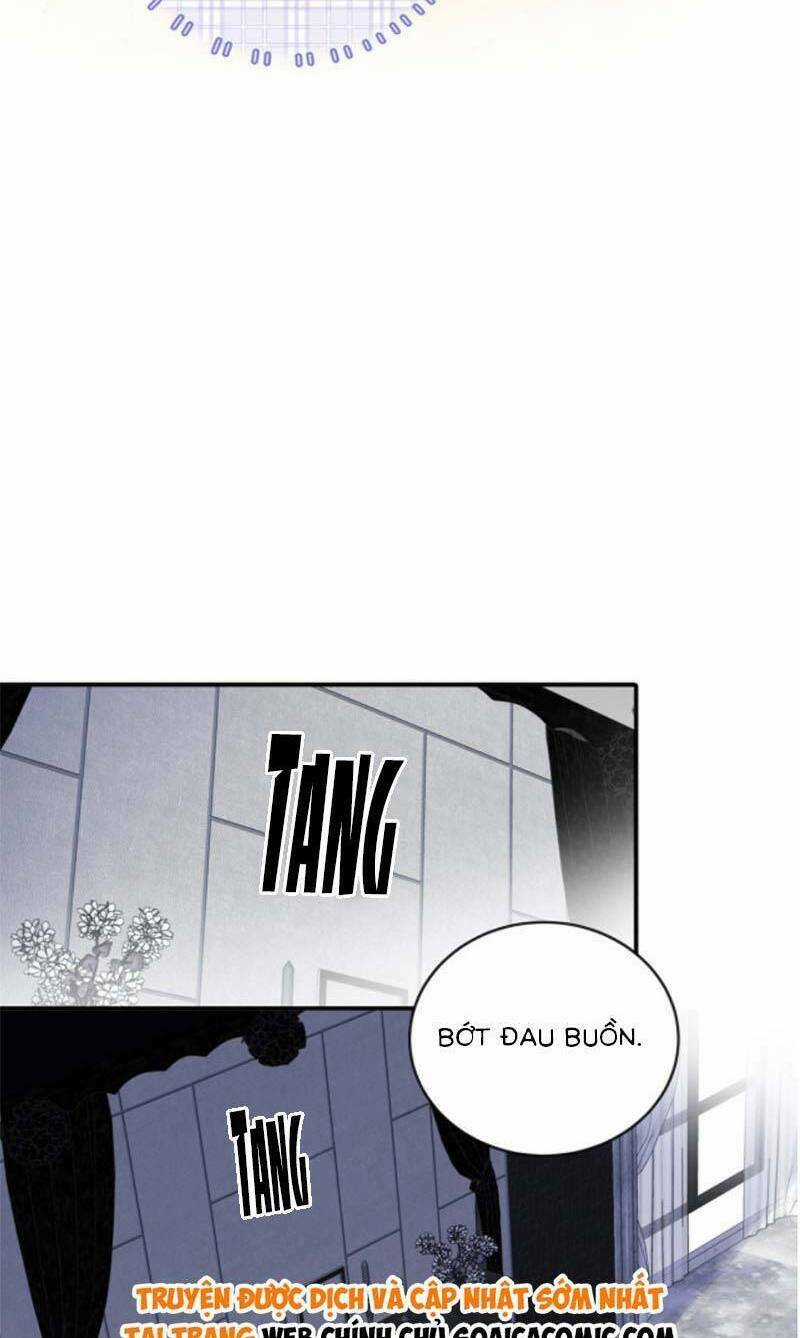 Bé Rồng Đột Kích! Mami Vừa Cay Vừa Độc Chapter 38 trang 4