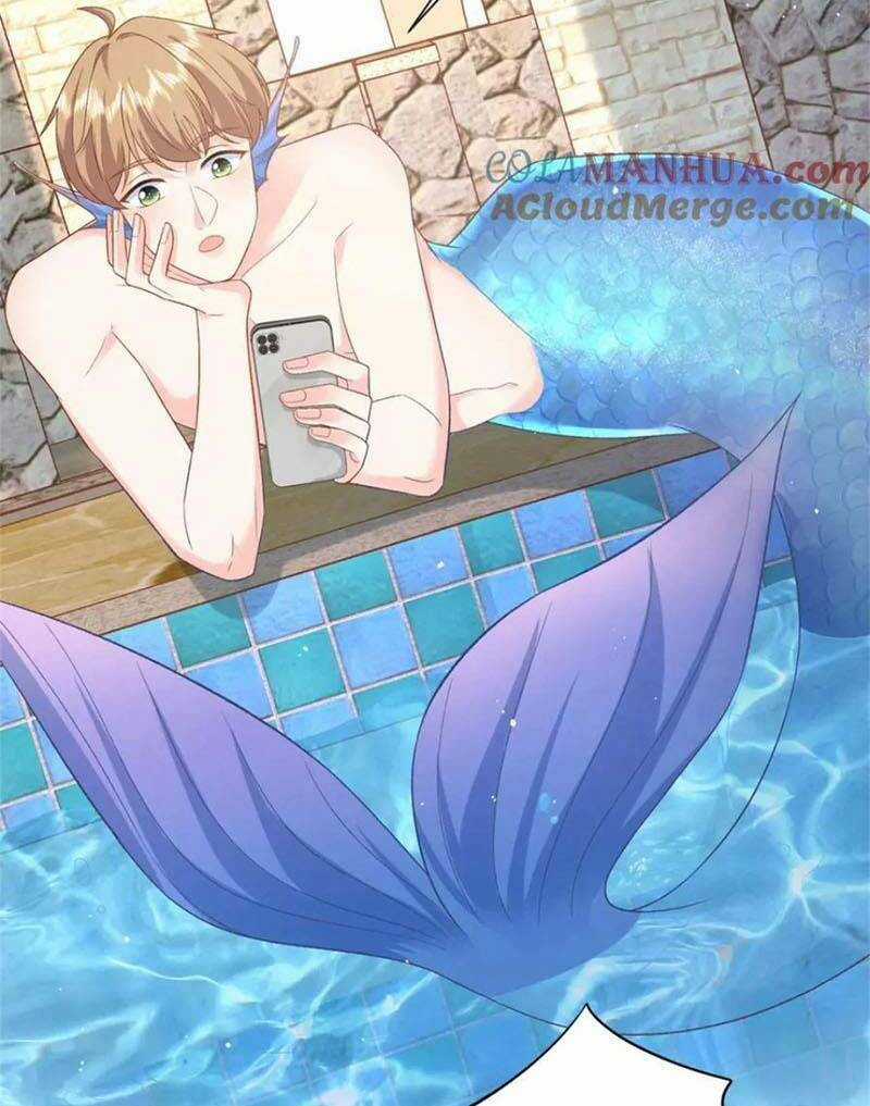 Bé Rồng Đột Kích! Mami Vừa Cay Vừa Độc Chapter 45 trang 3