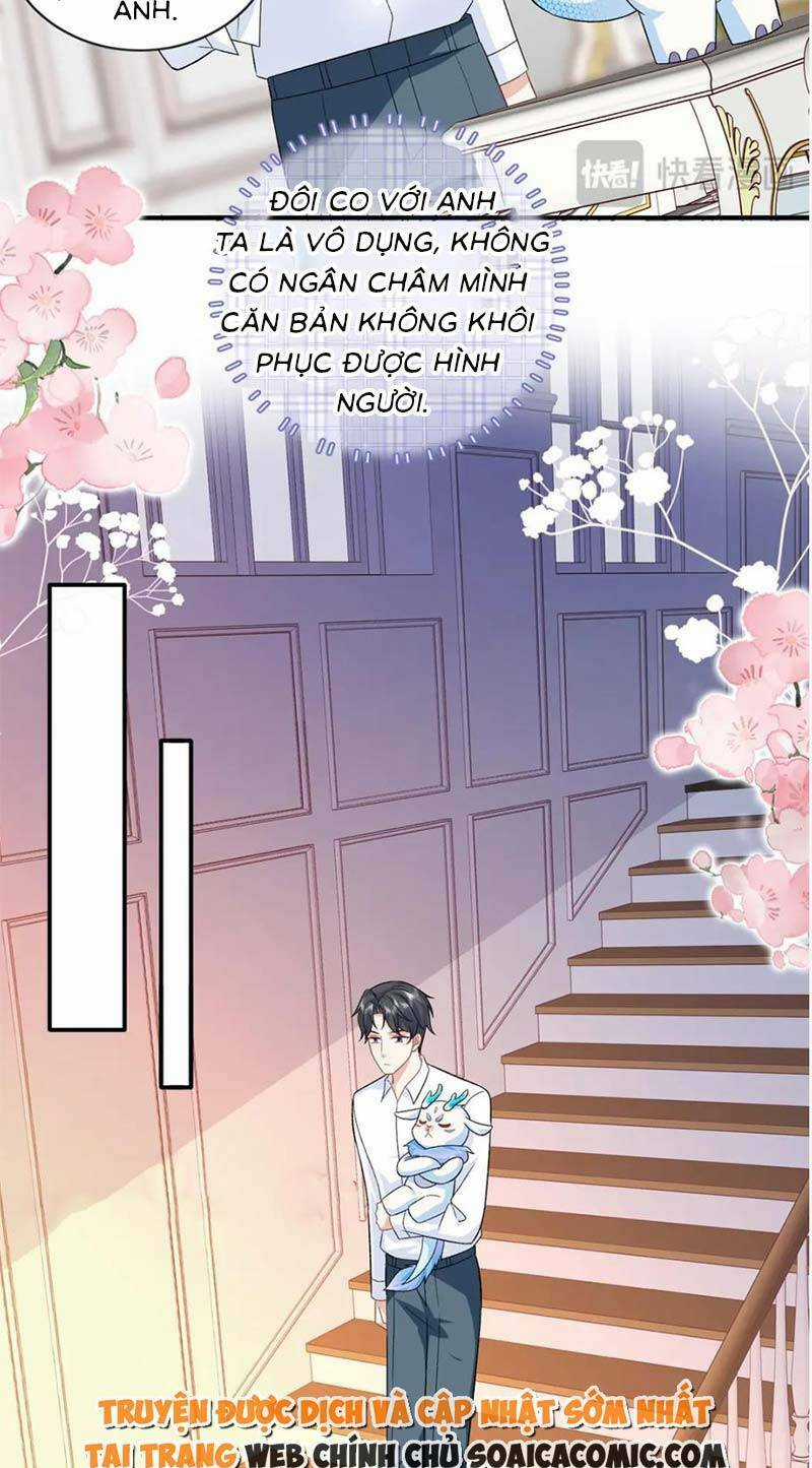 Bé Rồng Đột Kích! Mami Vừa Cay Vừa Độc Chapter 47 trang 17