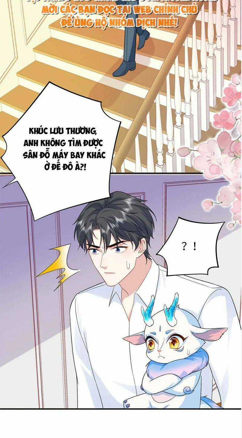 Bé Rồng Đột Kích! Mami Vừa Cay Vừa Độc Chapter 47 trang 18