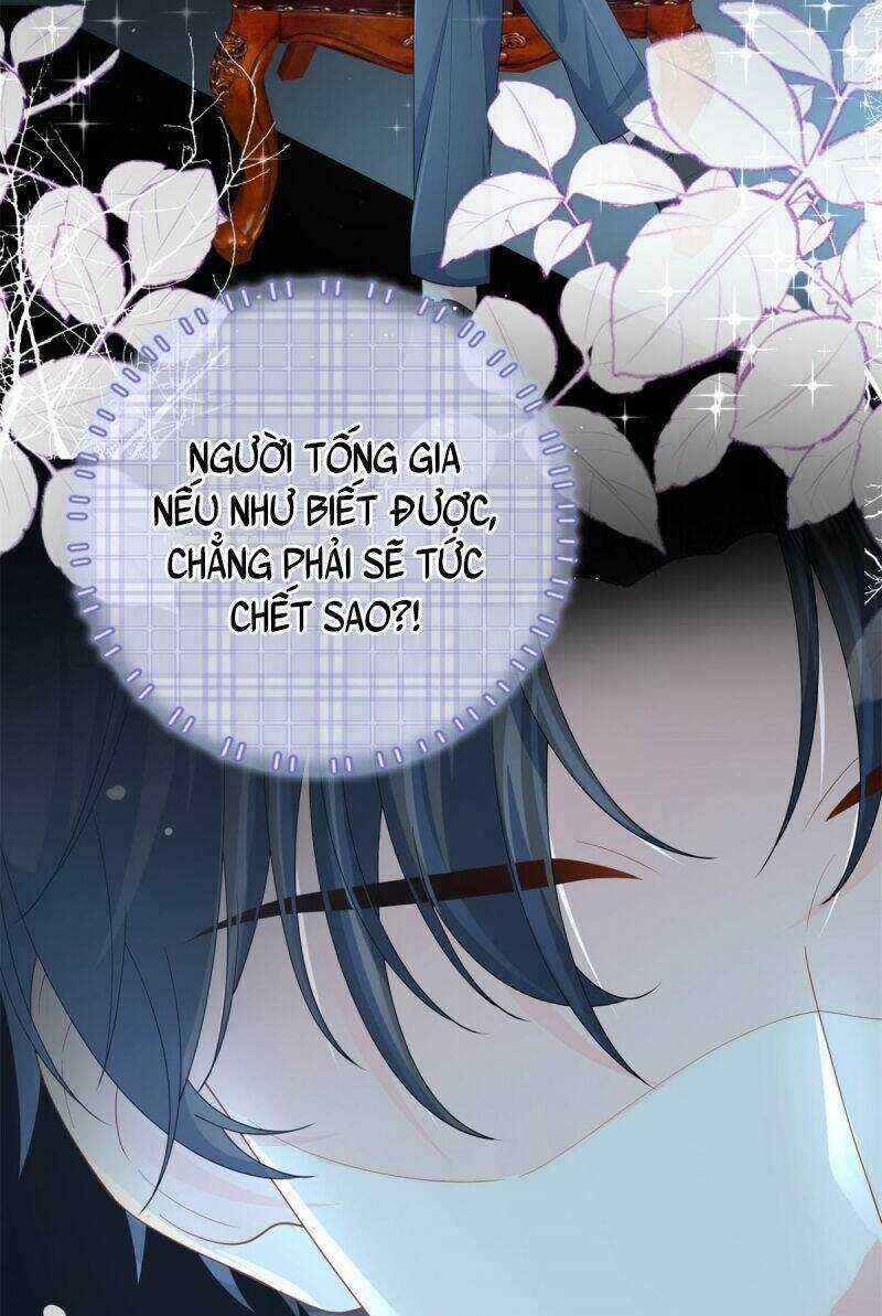 Bé Rồng Đột Kích! Mami Vừa Cay Vừa Độc Chapter 5 trang 6