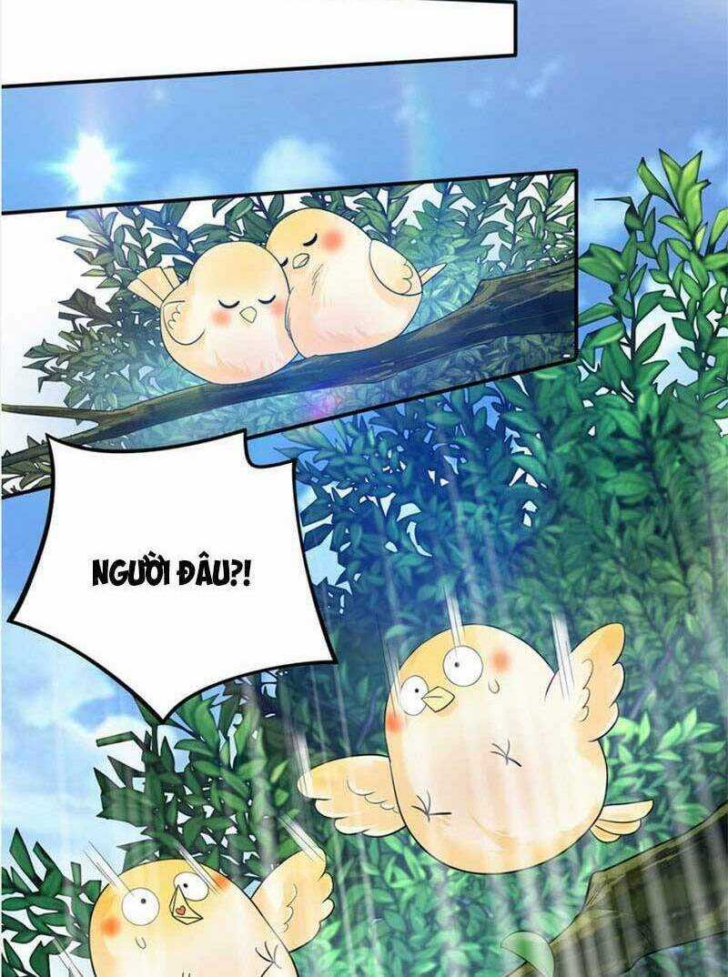 Bé Rồng Đột Kích! Mami Vừa Cay Vừa Độc Chapter 63 trang 21