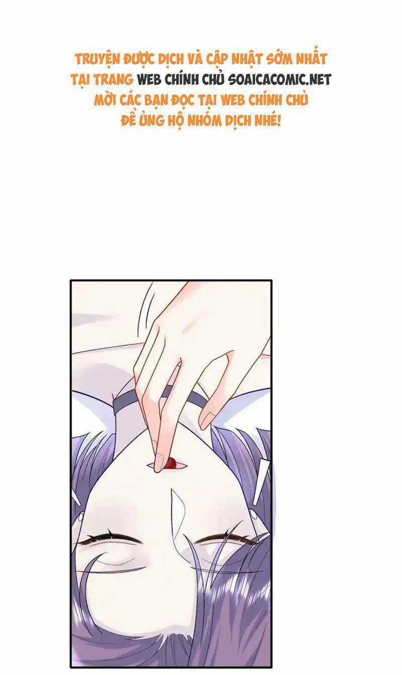 Bé Rồng Đột Kích! Mami Vừa Cay Vừa Độc Chapter 67 trang 0