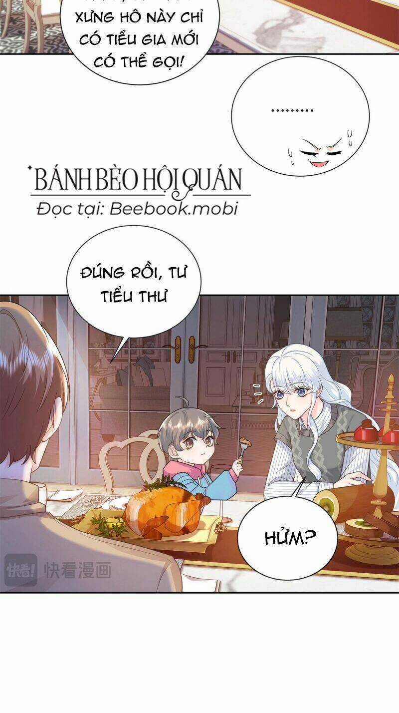Bé Rồng Đột Kích! Mami Vừa Cay Vừa Độc Chapter 8 trang 24
