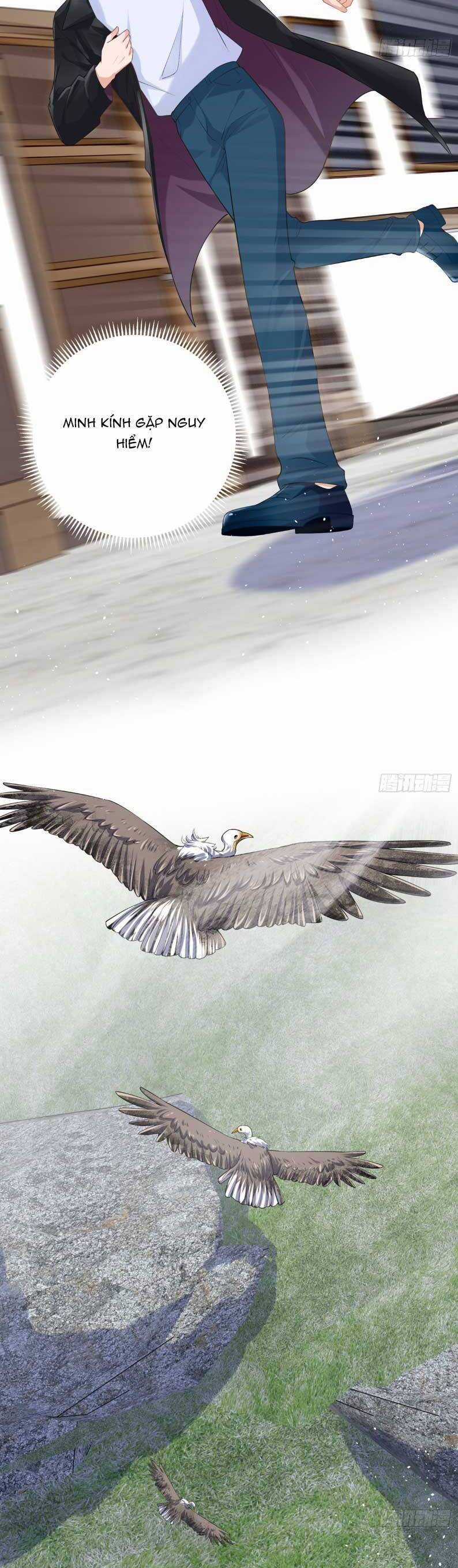 Bé Rồng Đột Kích! Mami Vừa Cay Vừa Độc Chapter 83 trang 8